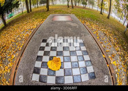 Échiquier mouillé carrelé avec une grande feuille jaune sur le dessus. Entouré d'arbres et de guirlandes lumineuses dans un parc d'automne. Banque D'Images