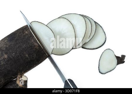 Radis noir Banque D'Images