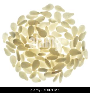 Cesame isolé sur fond blanc Banque D'Images