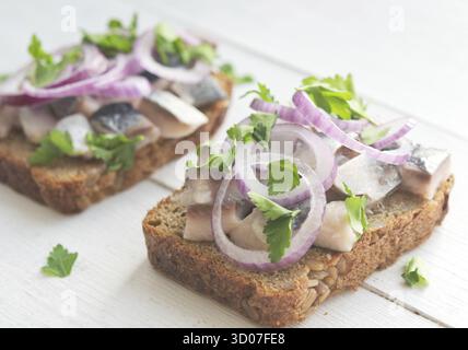 Deux sandwiches ouverts avec le hareng, oignon rouge et le persil Banque D'Images