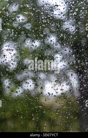 Gros plan des gouttes de pluie sur une fenêtre un jour de pluie Banque D'Images
