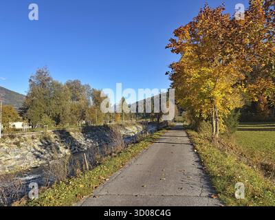 Sentier d'automne le long d'une rivière, bordée d'arbres colorés, piste cyclable Drau, Drava, Tyrol du Sud, Italie Banque D'Images