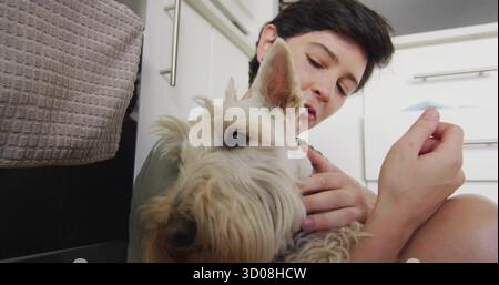 Femme adulte berçant un petit chien tan terrier sur le sol de la cuisine sous des armoires blanches, avec une serviette grise Banque D'Images