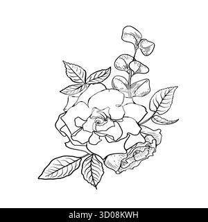 Pivoine et eucalyptus illustration vectorielle noir et blanc. Fleurs d'art de ligne dessinées à la main pour emballage romantique, papeterie. Dessin de contour de Camellia Blooms Illustration de Vecteur