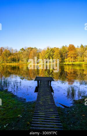 Vue sur le Windsborn Kratersee et le paysage environnant. Nature au lac dans la région de l'Eifel en automne au cratère volcanique près de Bettenfeld Banque D'Images