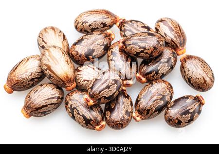 Graines d'huile de ricin brillantes, marbrées et en forme de haricot sur fond blanc. Le fichier contient des chemins de détourage. Banque D'Images