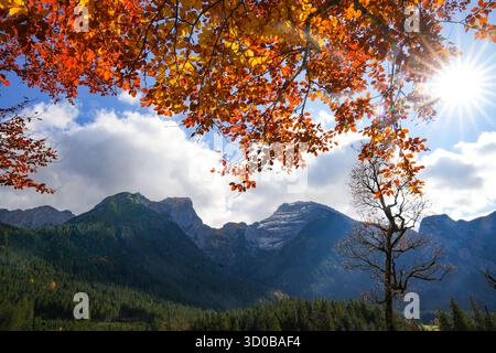 Les rayons du soleil et les feuilles rouge automne d'Un hêtre cuivré (Fagus Sylvatica F. purpurea) s'élèvent au-dessus du Panorama de montagne dans le Großen Ahornboden, Un Mo naturel Banque D'Images
