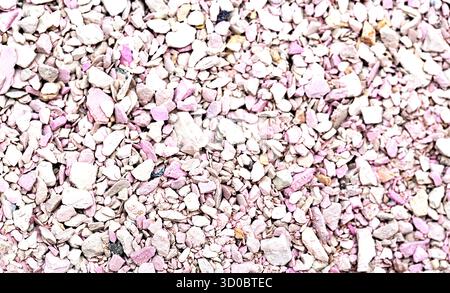 Mastic pour boîte à litière pour chat, présentant des granulés texturés dans des teintes roses et beiges douces, idéal pour le soin et l'hygiène des animaux de compagnie, améliorant le confort pour les félins comp Banque D'Images