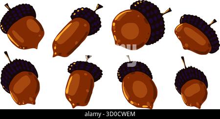 Illustration vectorielle de la collection de glands bruns. Noix d'automne dessinées à la main isolées sur fond blanc Illustration de Vecteur