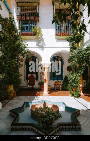 Patio de Cordoue avec fontaine en forme d'étoile, plantes en pot luxuriantes, cadres de fenêtres bleus et tuiles ornées évoquant le charme tranquille de la cour andalouse Banque D'Images