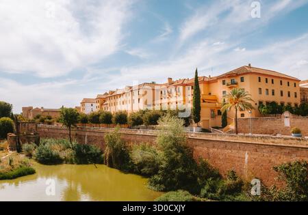 Des toits en terre cuite aux couleurs chaudes, des palmiers et des murs anciens bordent la rivière Guadalquivir à Cordoue, reflétant l'architecture mauresque et médiévale historique Banque D'Images