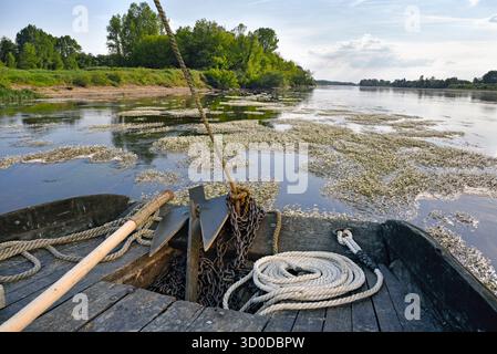 Barge à fond plat (mot français : Toue) voyage sur la Loire près de Chaumont-sur-Loire, département du Loir-et-cher, région Centre-Val de Loire, France, Euro Banque D'Images