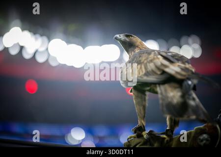 Francfort, Allemagne. 22 octobre 2025. . Steinadler Attila (Maskottchen von Eintracht Frankfurt) Eintracht Frankfurt - FC Liverpool 22.10.2025 Copyrigh Banque D'Images