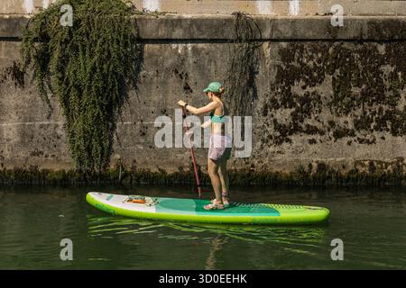Ljubljana, Slovénie août 10-2025 les femmes pagayent en solo sur la rivière Still ljubljanica Banque D'Images
