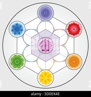 Metatron's Cube Illustration couleurs arc-en-ciel Sacré géométrie symbole vecteur Design cercle spiritualité Univers Mandala étoile colorée Illustration de Vecteur