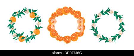 Collection de trois couronnes circulaires faites d'oranges, de tranches et de fleurs dans un style brillant dessiné à la main. Illustration de Vecteur