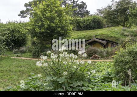 Hobbit trous et jardin hobbit dans le décor de film hobbiton, en Nouvelle-zélande. Prise en été Banque D'Images