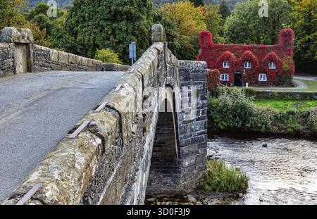 Pont Fawr, célèbre pont médiéval en pierre sur la rivière Conwy, et palais de justice couvert de lierre rouge Llanrwst, Caernarfon, Nord du pays de Galles, Royaume-Uni Banque D'Images