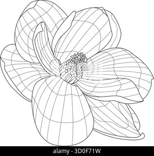 livre de coloriage vectoriel de fleur magnolia Illustration de Vecteur