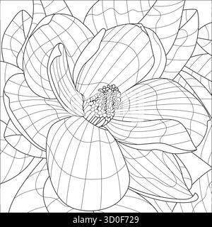 livre de coloriage vectoriel de fleur magnolia Illustration de Vecteur