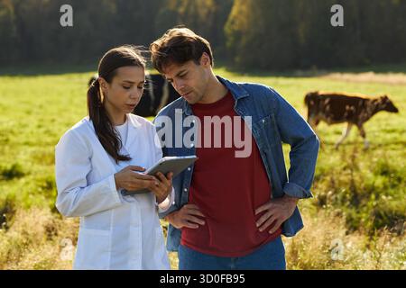Femme jeune adulte caucasienne en blouse de laboratoire montrant un comprimé numérique à un jeune homme adulte caucasien, debout ensemble dans un champ herbeux avec une vache qui paissait en arrière-plan Banque D'Images