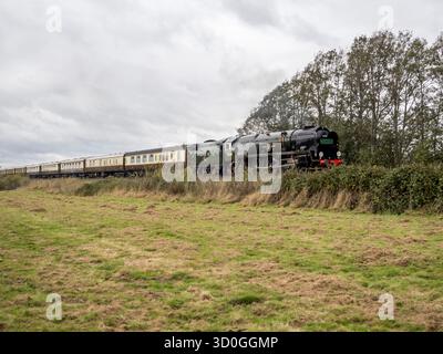 Teynham, Kent, Royaume-Uni. 23 octobre 2025. Le train à vapeur Clan Line a vu passer Teynham dans le Kent en route vers Douvres cet après-midi malgré les vents violents de la tempête Benjamin. Crédit : James Bell/Alamy Live News Banque D'Images