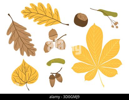 Éléments forestiers d'automne. Collection d'automne dessinée à la main. Chêne, châtaignier, tilleul, feuilles d'érable, glands, graines, châtaigne, branche de tilleul. Illustration de Vecteur