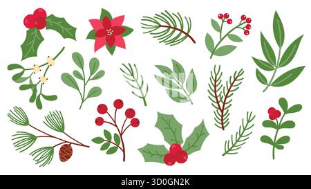 Ensemble d'illustrations de plantes de Noël. houx botanique d'hiver, poinsettia, gui, baies et branches persistantes. Éléments de décoration de Noël et du nouvel an Illustration de Vecteur