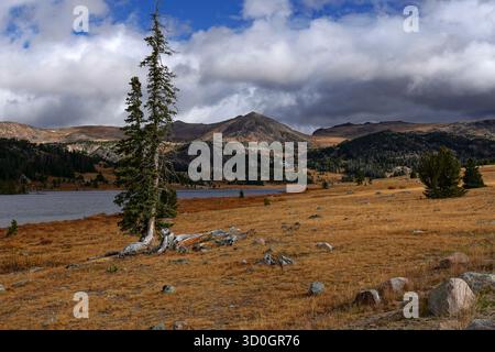 Vue près de long Lake le long de la Beartooth Highway dans le Wyoming Banque D'Images