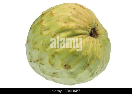 fruit de cherimoya isolé sur fond blanc Banque D'Images