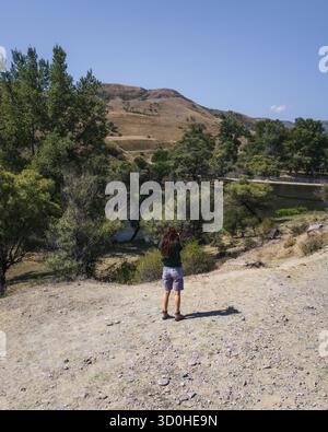 Vue aérienne d'une figure solitaire debout sur un chemin poussiéreux, regardant vers les arbres verdoyants et les collines lointaines sous un ciel clair, Samtskhe-Javakheti, Samtskhe-Javakheti, Géorgie. Banque D'Images