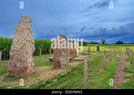 Menhirs / pierres debout de conglomérat au champ de la longue Pierre à Wéris, Durbuy, province de Luxembourg, Ardennes belges, Wallonie, Belgique Banque D'Images