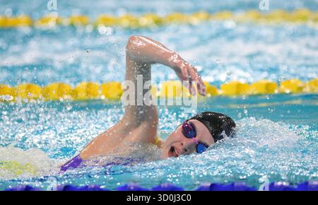 Toronto, Ontario, Canada. 23 octobre 2025. ZOE TOMORY du CANADA nage le 400 m libre féminin pendant les préliminaires de la première journée de la Coupe du monde de natation aquatique 2025 au Centre sportif panaméricain de Toronto. (Crédit image : © Jeff Vogan/ZUMA Press Wire) USAGE ÉDITORIAL SEULEMENT ! Non destiné à UN USAGE commercial ! Banque D'Images