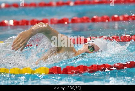 Toronto, Ontario, Canada. 23 octobre 2025. GABRIEL ARDELEANU du CANADA nage le 400 m libre masculin lors des préliminaires de la première journée de la Coupe du monde de natation aquatique 2025 au Centre sportif panaméricain de Toronto. (Crédit image : © Jeff Vogan/ZUMA Press Wire) USAGE ÉDITORIAL SEULEMENT ! Non destiné à UN USAGE commercial ! Banque D'Images