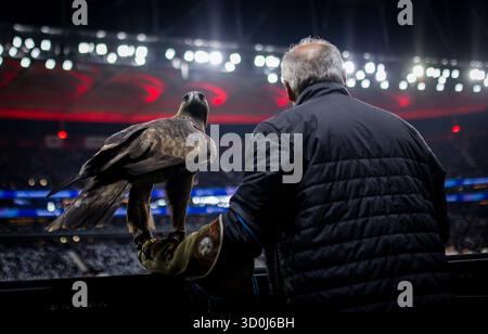 Francfort, Allemagne. 22 octobre 2025. . Steinadler Attila (Maskottchen von Eintracht Frankfurt) Eintracht Frankfurt - FC Liverpool 22.10.2025 Copyrigh Banque D'Images