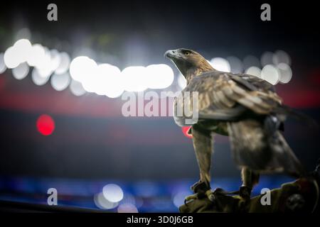 Francfort, Allemagne. 22 octobre 2025. . Steinadler Attila (Maskottchen von Eintracht Frankfurt) Eintracht Frankfurt - FC Liverpool 22.10.2025 Copyrigh Banque D'Images