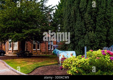 INVERNESS, ÉCOSSE - 21 août 2025 : une sculpture de vache peinte Highland décorée de tournesols ajoute une touche de couleur à un jardin ombragé dans le centre Banque D'Images