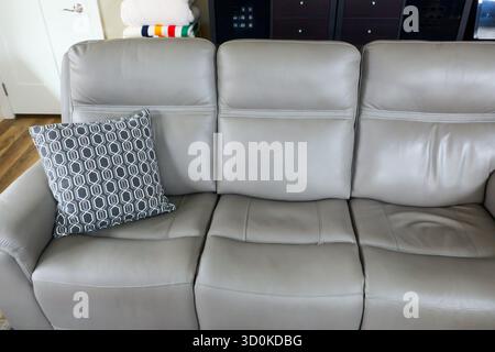 Un oreiller décoratif imprimé gris à l'extrémité gauche d'un canapé gris dans un intérieur de maison. Banque D'Images