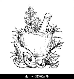 Hacher la noix de cajou, l'avocat et l'herbe aromatique pour faire de la sauce vecteur noir blanc illustration isolée. Dessin de gravure de tranches de fruits, noix, romarin Illustration de Vecteur