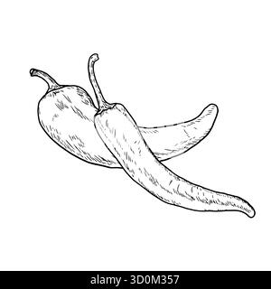 Piment fort, Chili, dessin simple, croquis noir et blanc. Illustration vectorielle. Légumes frais de la ferme mis en évidence sur un fond blanc. Le thème de Illustration de Vecteur
