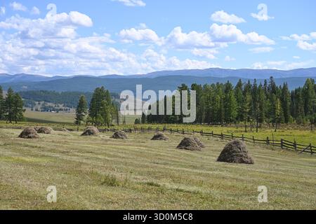 Prairies vertes avec des meules de foin récoltées dans une zone montagneuse par une journée d'été ensoleillée Banque D'Images