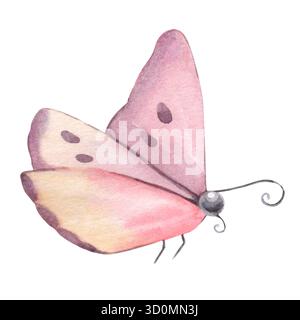 Papillon simple avec ailes fermées. Illustration aquarelle peinte à la main isolée sur fond blanc. Parfait pour la conception de la nature, l'image de marque, l'emballage Banque D'Images