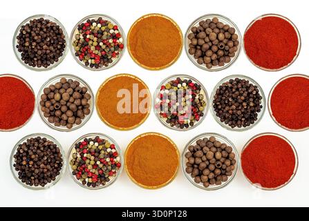 Pose à plat d'une composition d'épices. Composition intéressante avec diverses épices aromatiques et assaisonnements dans de petits bols transparents sur fond blanc. Utiliser Banque D'Images