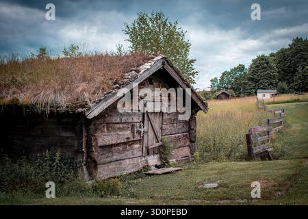Une cabane en bois abandonnée, avec un toit qui a longtemps été envahi par l'herbe. Banque D'Images
