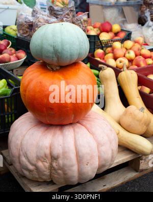 Une tour de citrouilles de différentes tailles et couleurs. Citrouilles mûres au marché du village. Décor d'automne, décoration pour les vacances de moisson. Trois citrouilles au th Banque D'Images