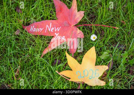 Feuilles d'érable jaunes et rouges avec inscriptions bonne année 2026 près de camomille blanche sur l'herbe - décor festif créatif d'automne vue de dessus Banque D'Images