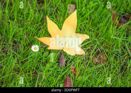 Feuille d'érable jaune avec inscription 2026 près de la camomille blanche sur l'herbe - nouvel an automne décor vue de dessus Banque D'Images