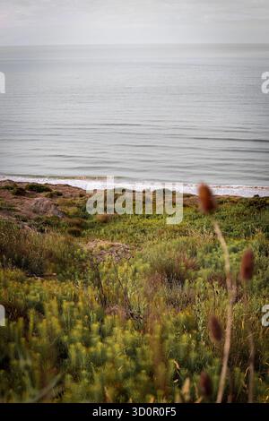 Naish Beach près de Highcliffe sur la côte jurassique, en Angleterre, sujette à l'érosion côtière avec une richesse de fossiles et de beauté naturelle Banque D'Images