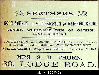 1897 publicité pour S B Thorn, Southampton - grossiste en plumes d'autruche. Banque D'Images