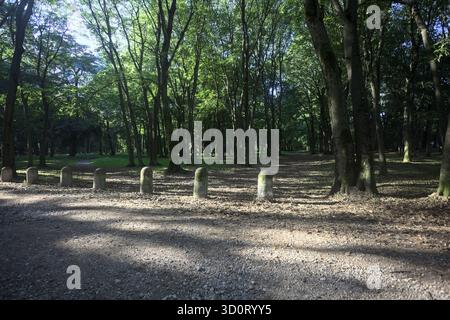 Chemin de terre partiellement à l'ombre à l'intérieur d'un parc avec des arbres voûtant dessus et des pylônes bordant une section de la route Banque D'Images